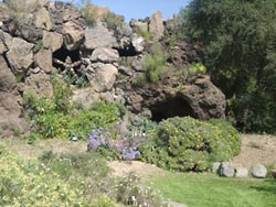 Botanischer Garten Gran Canaria - Jardin Canario