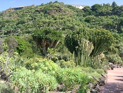 Blick ins Tal - Botanischer Garten Gran Canaria - Jardin Canario