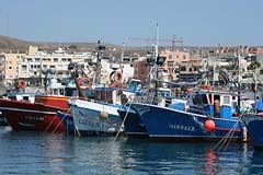 Fischerhafen in Arguineguin - Gran Canaria