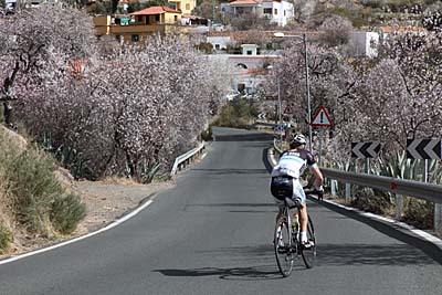 Radsportler unterwegs in der Zeit der Mandelblüte in den Bergen von Gran Canaria