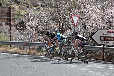 Radsportler unterwegs in der Zeit der Mandelblüte in den Bergen von Gran Canaria