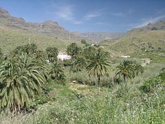 bei Fataga - Gran Canaria