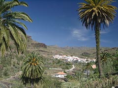 Landschaft bei Fataga - Gran Canaria