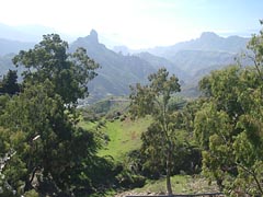 Cruz de Tejeda - Gran Canaria