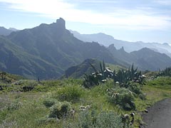 Blick zum Roque Bentaiga - Gran Canaria