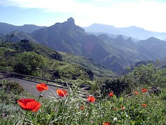 Bergland Gran Canaria