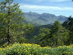 Bergland im Norden der Insel Gran Canaria