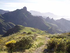 Roque Bentaiga - Gran Canaria