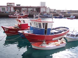 Fischerboot in Puerto de Mogan - Gran Canaria