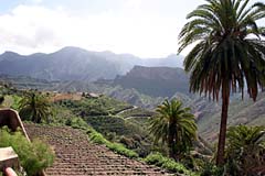 Landwirtschaft in Acusa auf Gran Canaria