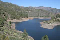 Presa de las Niñas - Gran Canaria