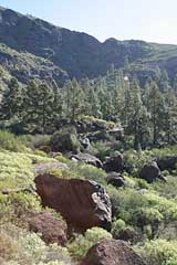 im Barranco de Mogán