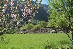 im Barranco de Guayadque - Gran Canaria
